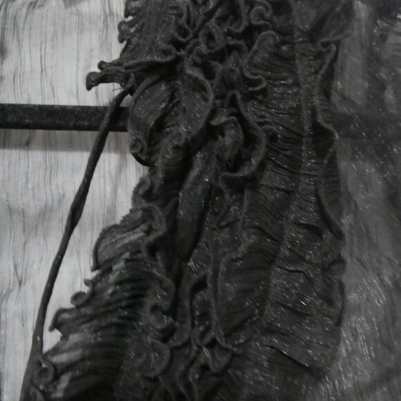 CHARLOTTE RUSSE | medium | Gothic Sheer Mesh Blouse | Ruffle V-Neck | Lace-Up - Picture 15 of 16